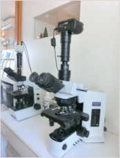 高級システム顕微鏡